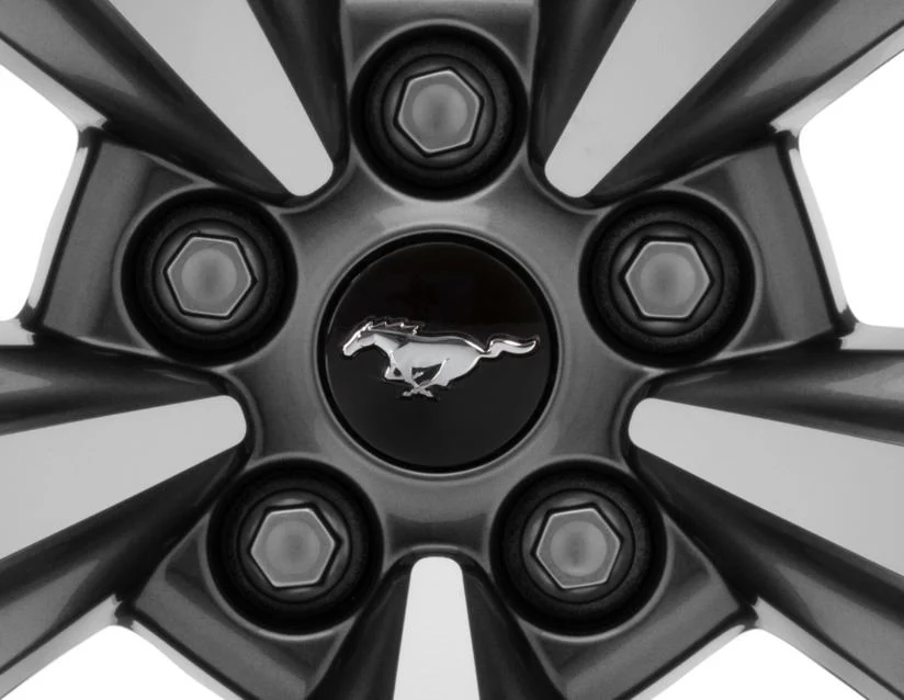 Imagen del producto 12